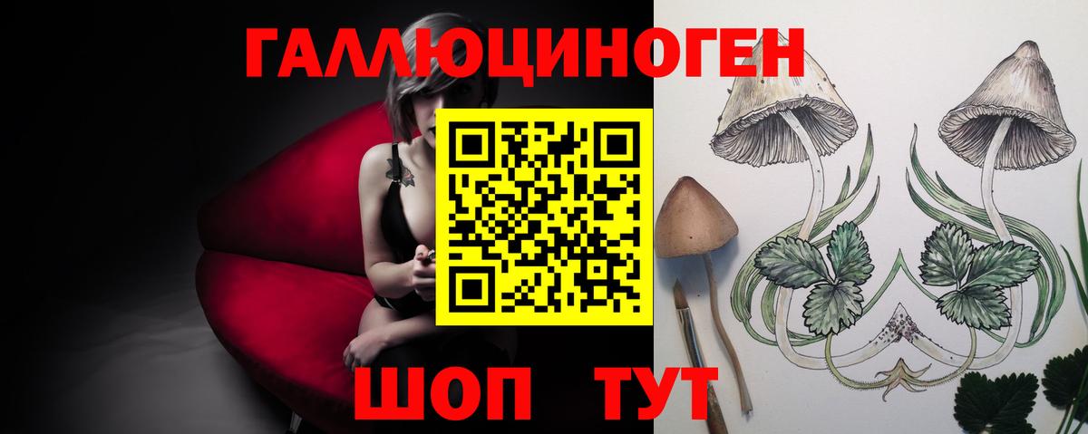 Галлюциногенные грибы Magic Shrooms Тверь