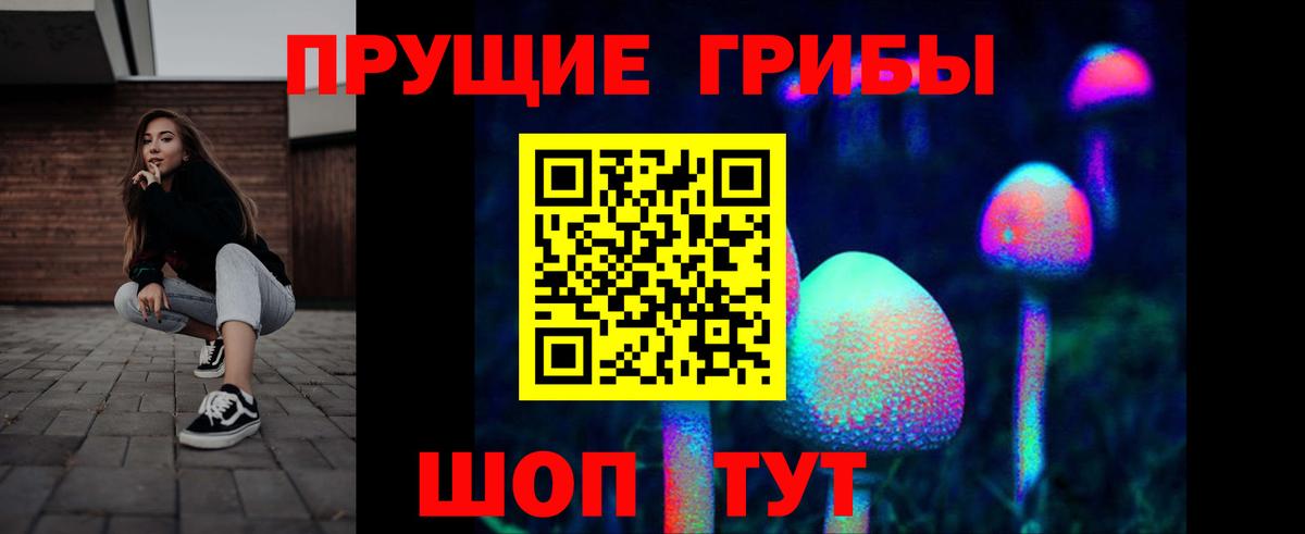 Псилоцибиновые грибы Magic Shrooms  Вход с VPN  наркота  Тверь 