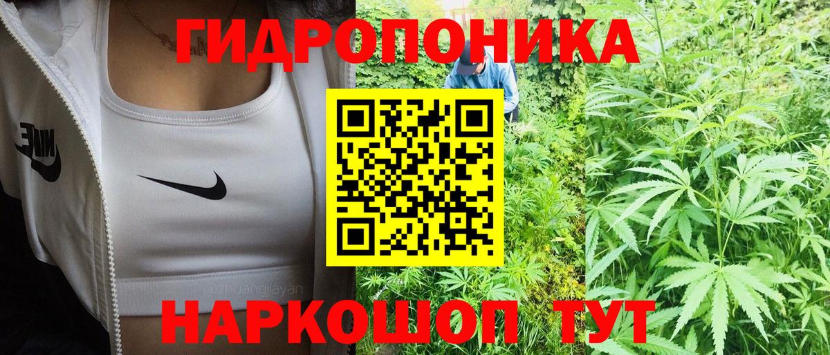 Канабис OG Kush  Вход с VPN  МАРИХУАНА планчик  Тверь  Марихуана индика  Каннабис планчик 